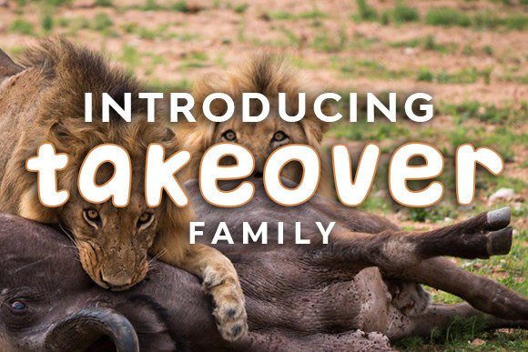 Takeover Font for Bold Digital Branding